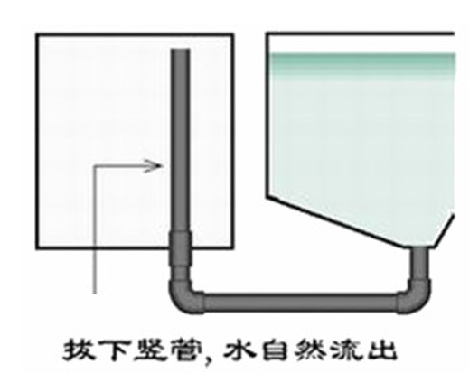 融合传统与现代过滤技术的锦鲤鱼池设计方案